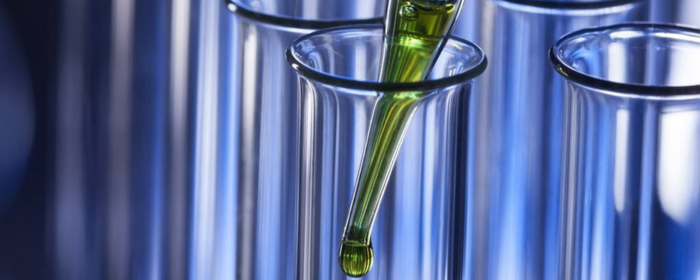 Top 10 Popular Herbal Extracts for Natural Skincare Ingredients